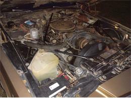 1979 Cadillac Coupe DeVille (CC-2120558) for sale in Cadillac, Michigan