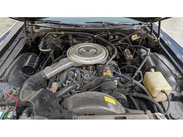 1979 Lincoln Continental (CC-2120561) for sale in Mankato, Minnesota