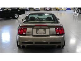2001 Ford Mustang (CC-2120566) for sale in New Braundfels, Texas