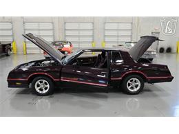 1985 Chevrolet Monte Carlo (CC-2120568) for sale in New Braundfels, Texas