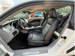 2008 Ford Mustang (CC-2120057) for sale in Greensboro, North Carolina