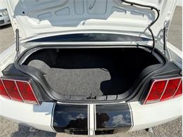 2008 Ford Mustang (CC-2120057) for sale in Greensboro, North Carolina