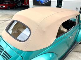 1971 Volkswagen Beetle (CC-2120570) for sale in Bradenton, Florida