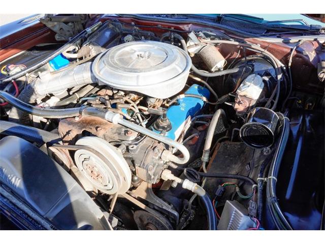 1978 Ford Thunderbird (CC-2120641) for sale in Ramsey, Minnesota
