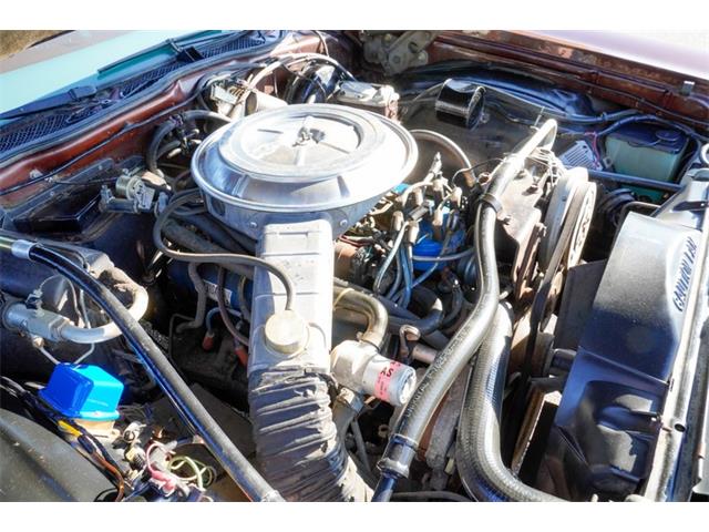 1978 Ford Thunderbird (CC-2120641) for sale in Ramsey, Minnesota