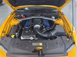 2013 Ford Mustang (CC-2120072) for sale in Greensboro, North Carolina