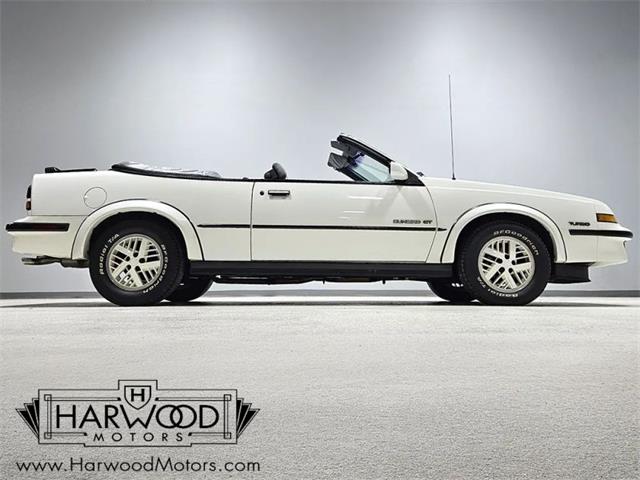 1988 Pontiac Sunbird (CC-2120749) for sale in Cleveland, Ohio