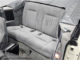 1988 Pontiac Sunbird (CC-2120749) for sale in Cleveland, Ohio