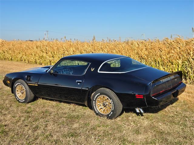 1979 Pontiac Trans Am Comp T/A (CC-2120837) for sale in Great Bend, Kansas