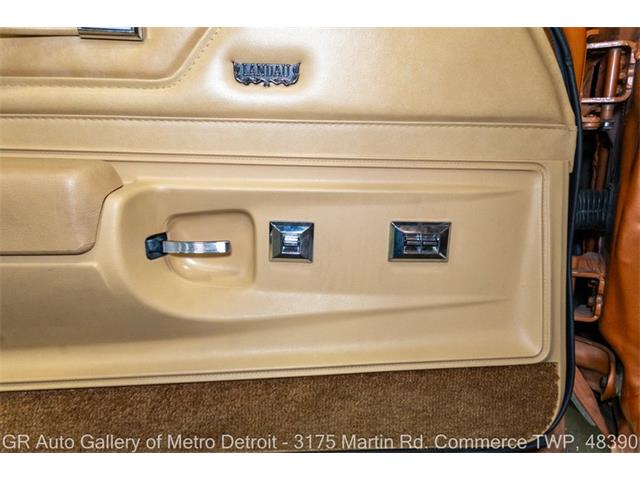 1977 Chevrolet Monte Carlo (CC-2120883) for sale in Kentwood, Michigan