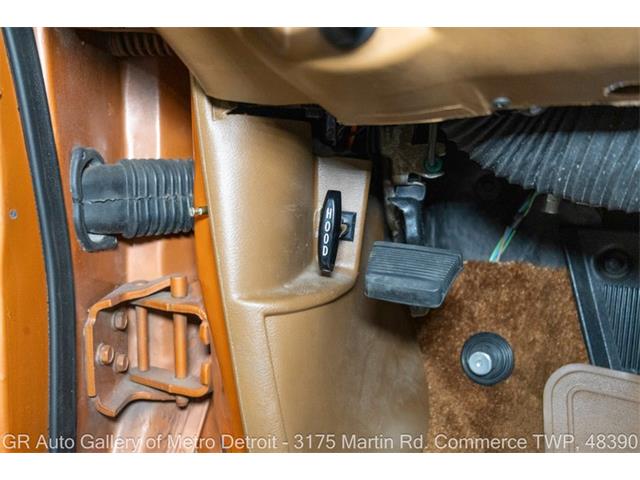 1977 Chevrolet Monte Carlo (CC-2120883) for sale in Kentwood, Michigan