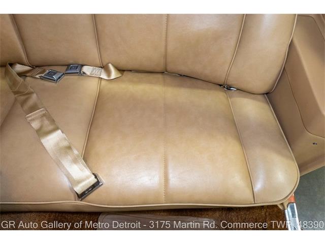1977 Chevrolet Monte Carlo (CC-2120883) for sale in Kentwood, Michigan