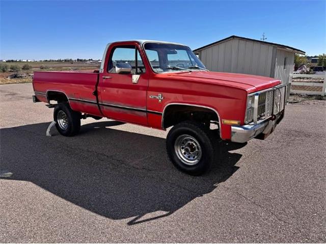 1981 Chevrolet Scottsdale (CC-2120950) for sale in Cadillac, Michigan