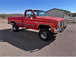 1981 Chevrolet Scottsdale (CC-2120950) for sale in Cadillac, Michigan