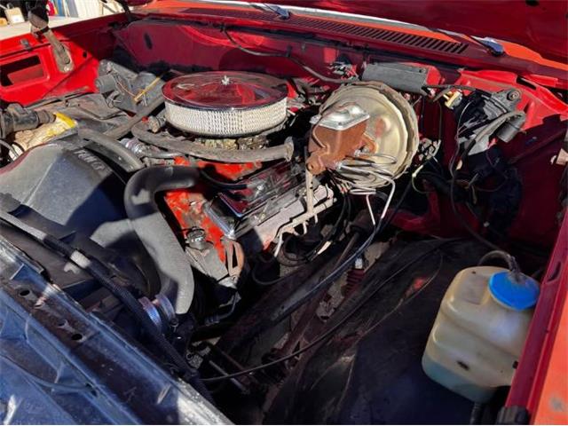 1981 Chevrolet Scottsdale (CC-2120950) for sale in Cadillac, Michigan