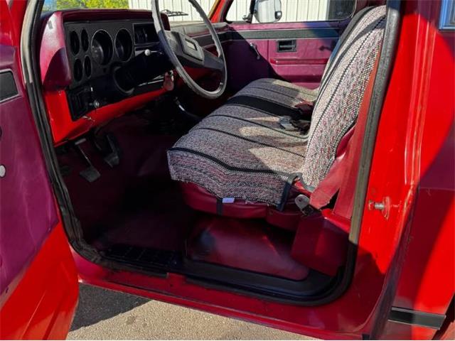 1981 Chevrolet Scottsdale (CC-2120950) for sale in Cadillac, Michigan