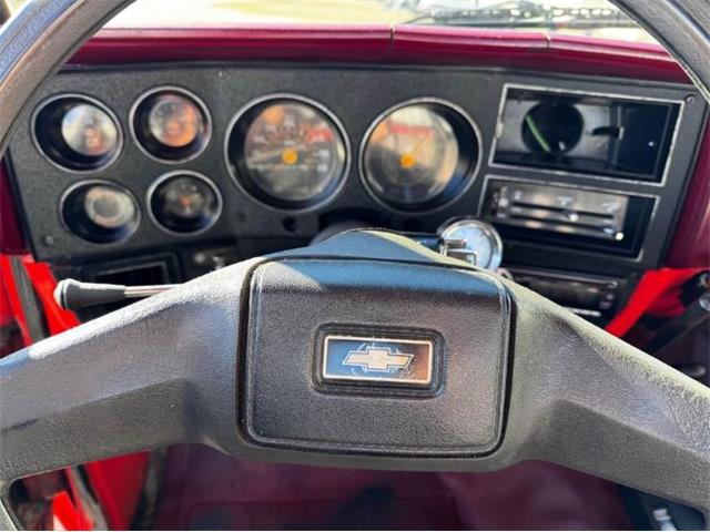 1981 Chevrolet Scottsdale (CC-2120950) for sale in Cadillac, Michigan