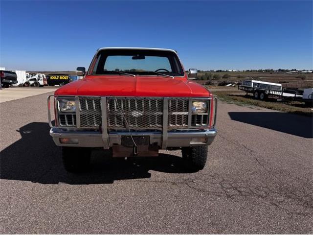 1981 Chevrolet Scottsdale (CC-2120950) for sale in Cadillac, Michigan