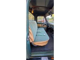 1955 Ford F100 (CC-2120960) for sale in Cadillac, Michigan