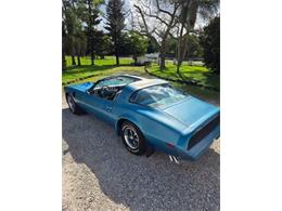 1979 Pontiac Firebird Trans Am (CC-2120964) for sale in Cadillac, Michigan