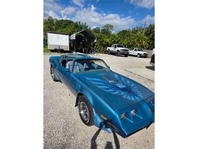 1979 Pontiac Firebird Trans Am (CC-2120964) for sale in Cadillac, Michigan