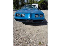 1979 Pontiac Firebird Trans Am (CC-2120964) for sale in Cadillac, Michigan