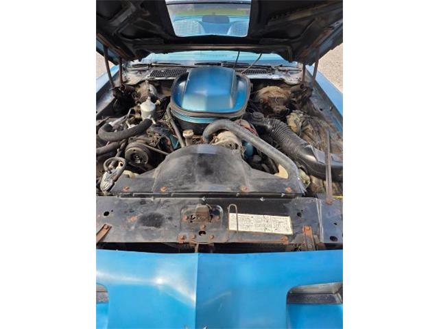 1979 Pontiac Firebird Trans Am (CC-2120964) for sale in Cadillac, Michigan