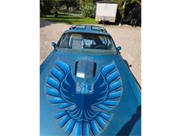 1979 Pontiac Firebird Trans Am (CC-2120964) for sale in Cadillac, Michigan