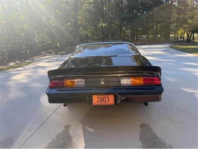 1979 Chevrolet Camaro (CC-2120973) for sale in Cadillac, Michigan