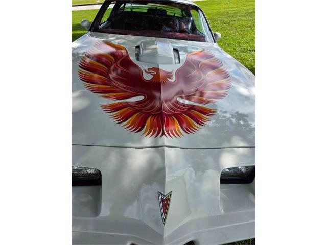 1979 Pontiac Firebird (CC-2120974) for sale in Cadillac, Michigan