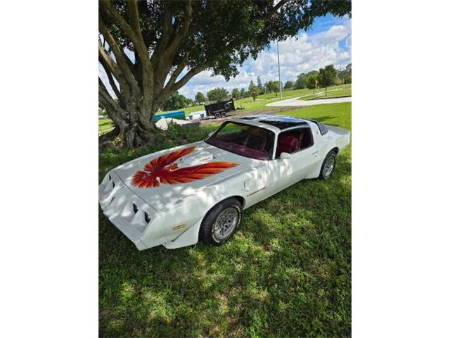 1979 Pontiac Firebird (CC-2120974) for sale in Cadillac, Michigan