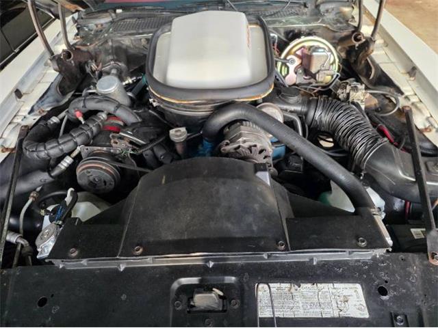 1979 Pontiac Firebird (CC-2120974) for sale in Cadillac, Michigan