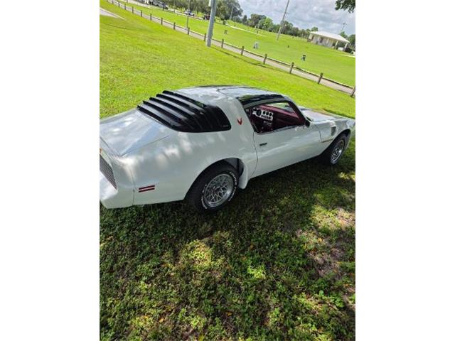 1979 Pontiac Firebird (CC-2120974) for sale in Cadillac, Michigan