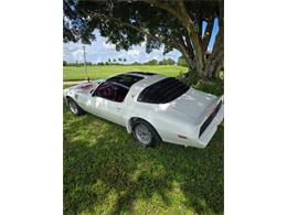 1979 Pontiac Firebird (CC-2120974) for sale in Cadillac, Michigan