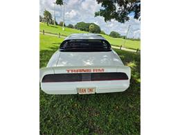 1979 Pontiac Firebird (CC-2120974) for sale in Cadillac, Michigan