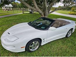2002 Pontiac Firebird Trans Am (CC-2120975) for sale in Cadillac, Michigan