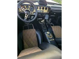 1976 Pontiac Firebird Trans Am (CC-2120980) for sale in Cadillac, Michigan