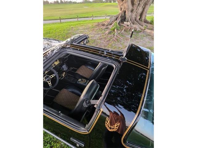 1976 Pontiac Firebird Trans Am (CC-2120980) for sale in Cadillac, Michigan