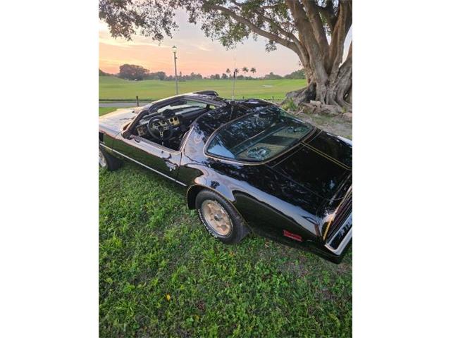 1976 Pontiac Firebird Trans Am (CC-2120980) for sale in Cadillac, Michigan