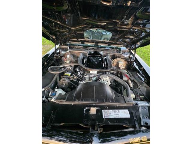 1976 Pontiac Firebird Trans Am (CC-2120980) for sale in Cadillac, Michigan