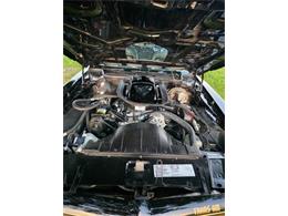 1976 Pontiac Firebird Trans Am (CC-2120980) for sale in Cadillac, Michigan