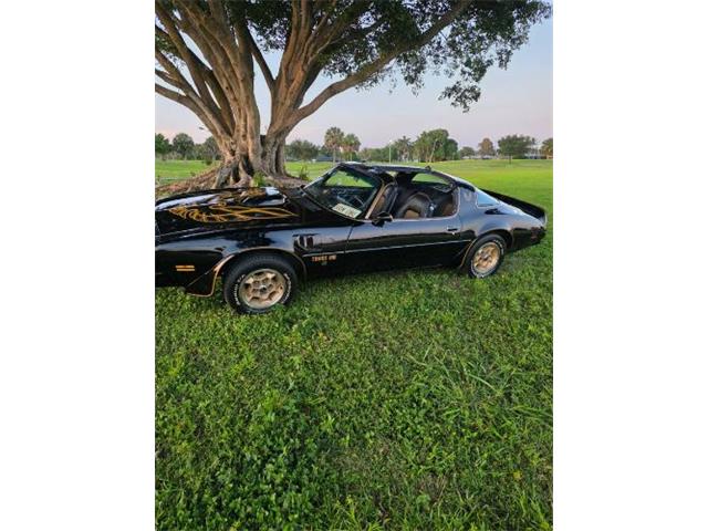 1976 Pontiac Firebird Trans Am (CC-2120980) for sale in Cadillac, Michigan