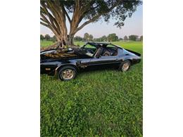 1976 Pontiac Firebird Trans Am (CC-2120980) for sale in Cadillac, Michigan