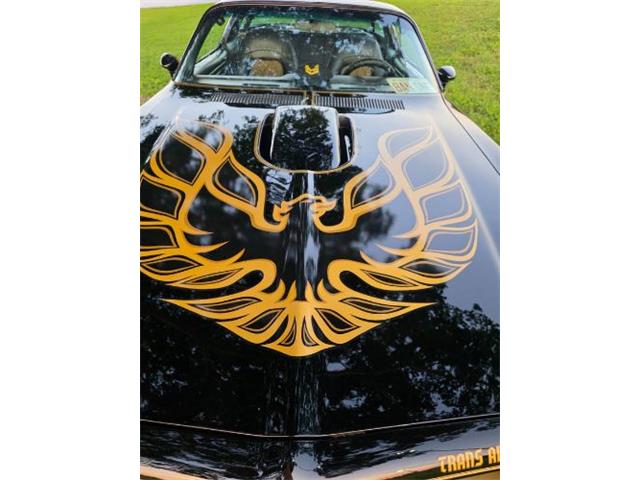 1976 Pontiac Firebird Trans Am (CC-2120980) for sale in Cadillac, Michigan