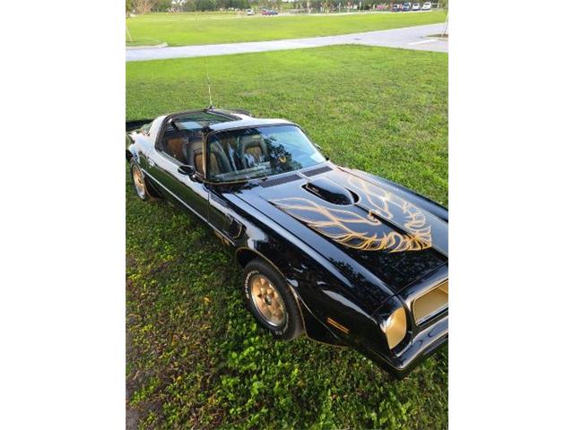 1976 Pontiac Firebird Trans Am (CC-2120980) for sale in Cadillac, Michigan