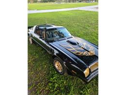1976 Pontiac Firebird Trans Am (CC-2120980) for sale in Cadillac, Michigan