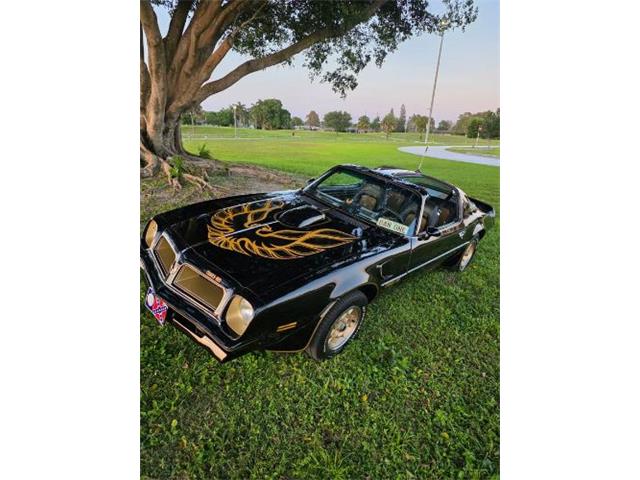 1976 Pontiac Firebird Trans Am (CC-2120980) for sale in Cadillac, Michigan