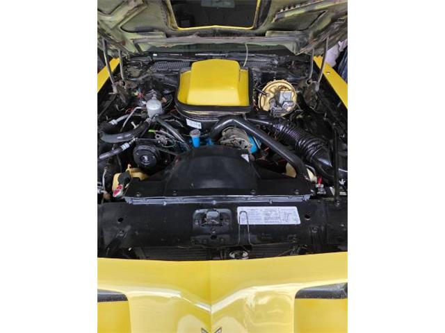 1979 Pontiac Firebird Trans Am (CC-2120983) for sale in Cadillac, Michigan