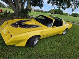 1979 Pontiac Firebird Trans Am (CC-2120983) for sale in Cadillac, Michigan