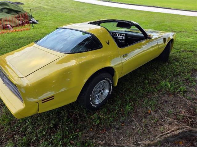 1979 Pontiac Firebird Trans Am (CC-2120983) for sale in Cadillac, Michigan
